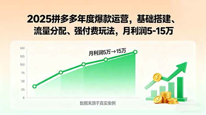 （15973期）2025拼多多年度爆款运营，基础搭建、流量分配、强付费玩法，月利润5-15万-甄选网创