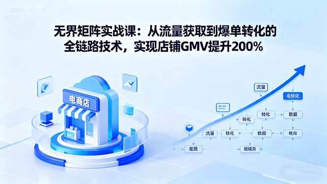 （16104期）无界矩阵实战课：从流量获取到爆单转化的全链路技术，实现店铺GMV提升200%-甄选网创
