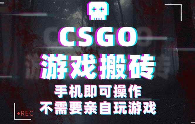 （16090期）CSGO游戏挂机捡漏，单日扫货500+，年底小高峰上车可吃肉，手机即可操作…-甄选网创