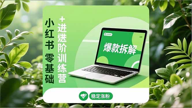 （16801期）小红书零基础+高阶训练营：安全养号、爆款拆解、长效运营，实现稳定涨粉与变现-甄选网创