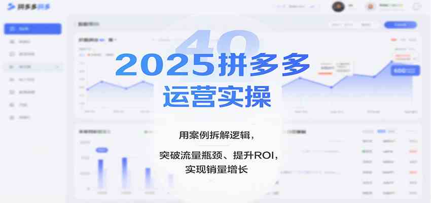 2025拼多多运营实操，用案例拆解逻辑，突破流量瓶颈、提升ROI，实现销量增长（更新）-甄选网创