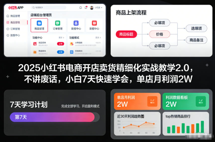 2025小红书电商开店卖货精细化实战教学2.0，不讲废话，小白7天快速学会，单店月利润2W-甄选网创