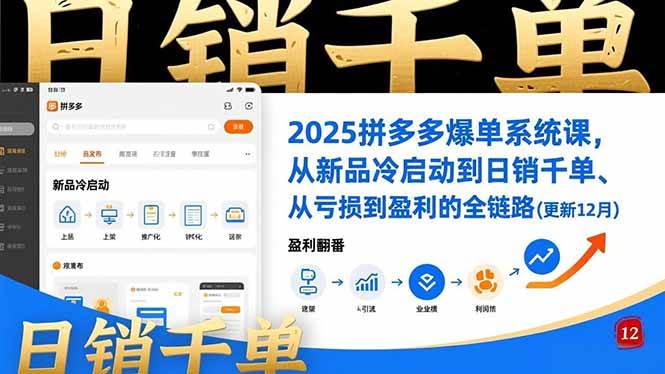 （16894期）2025拼多多爆单系统课，从新品冷启动到日销千单、从亏损到盈利的全链路（更新12月）-甄选网创