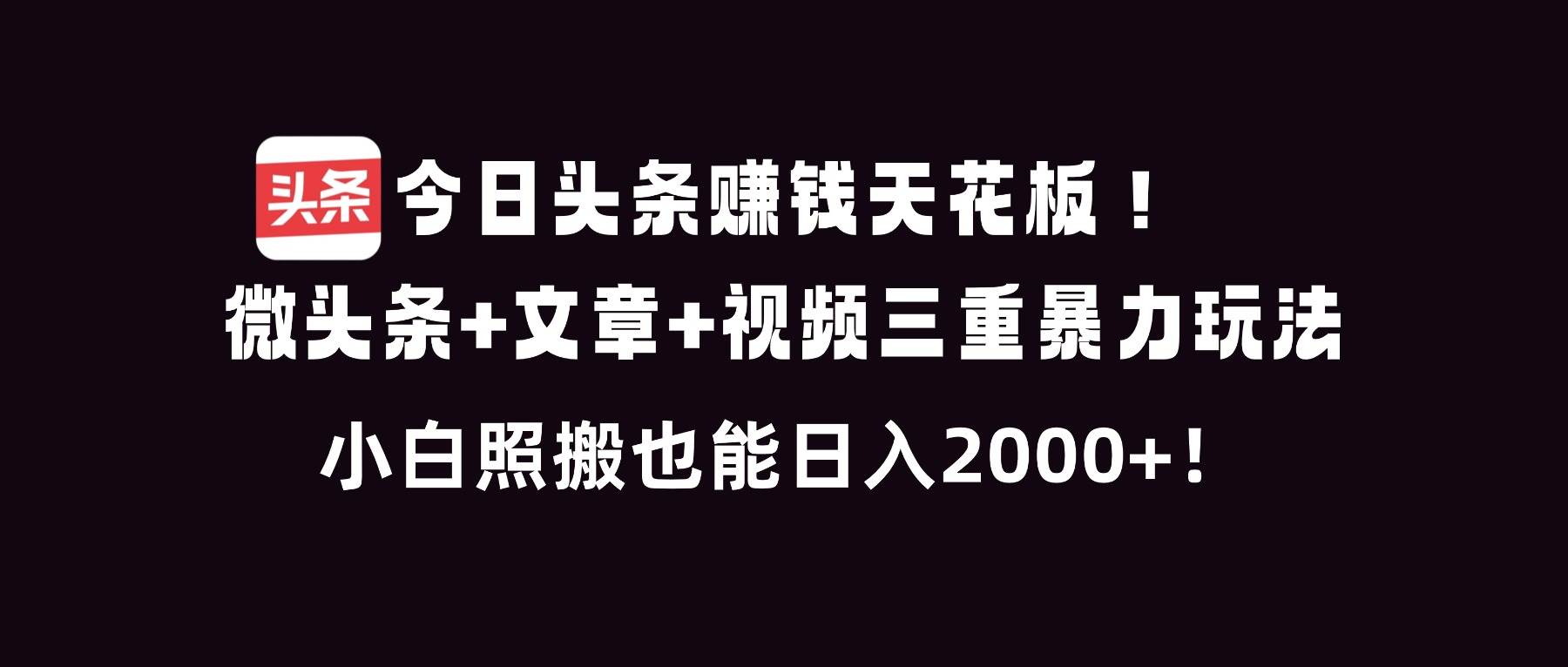 （16888期）今日头条赚钱天花板！微头条+文章+视频三重暴利玩法，小白照搬也能日人2000+-甄选网创