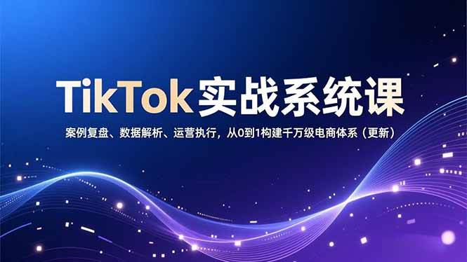 （16918期）TikTok实战系统课，案例复盘、数据解析、运营执行，从0到1构建千万级电商体系（更新）-甄选网创