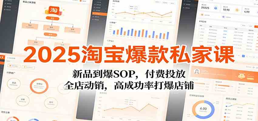 2025淘宝爆款私家课：新品到爆SOP，付费投放，全店动销，高成功率打爆店铺-甄选网创