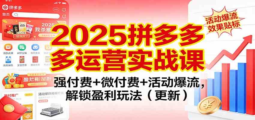 2025拼多多运营实战课：强付费+微付费+活动爆流，解锁盈利玩法（更新）-甄选网创
