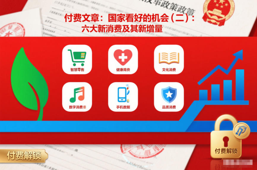 付费文章：国家看好的机会(二)：六大新消费及其新增量-甄选网创
