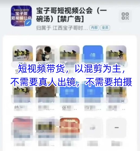 宝子哥头部团队短视频带货，以混剪为主，不需要真人出镜，不需要拍摄【更新12月】-甄选网创