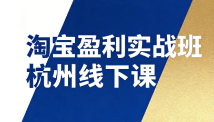 淘宝盈利实战班杭州线下课12月26-28日（音频+字幕），帮你掌握SOP流程+12门核心技术-甄选网创