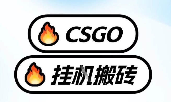 真全网独家CSGO挂G，最新玩法,单日捡漏1K+，不用电脑，不用打游戏【揭秘】-甄选网创