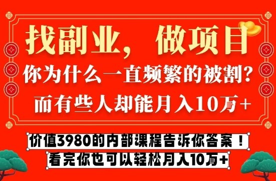 价值3980的网创内部课程，告诉你互联网创业月入10个W的秘密【揭秘】-甄选网创