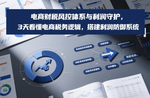 电商财税风控体系与利润守护，3天看懂电商税务逻辑，搭建利润防御系统-甄选网创