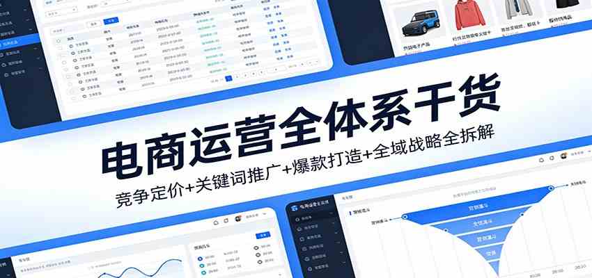 电商运营全体系干货，竞争定价+关键词推广+爆款打造+全域战略全拆解-甄选网创
