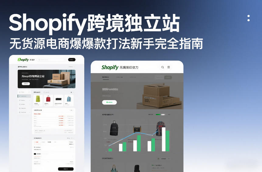 Shopify跨境独立站无货源电商爆款打法新手完全指南-甄选网创